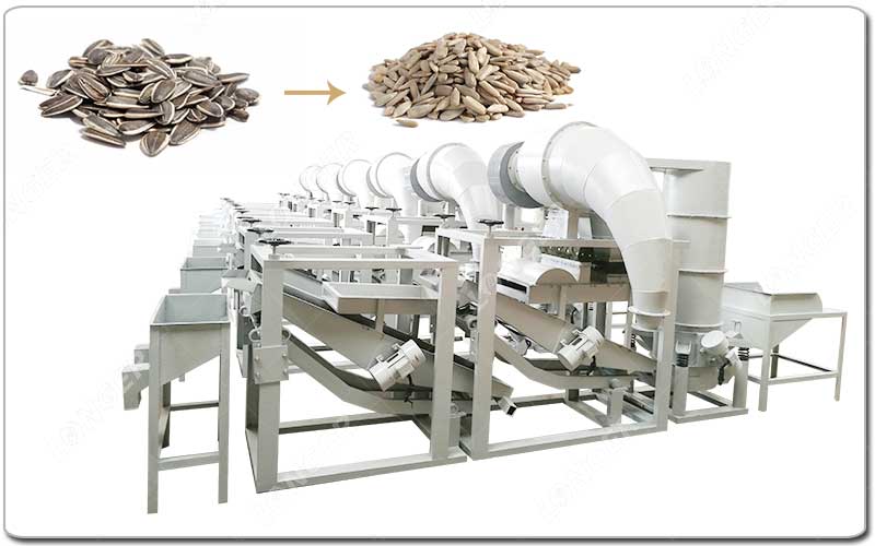mesin pengupas biji bunga matahari.jpg