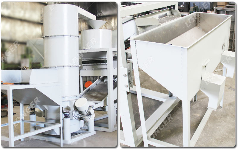 Ciri-ciri Pemipil Biji Melon Putih.jpg