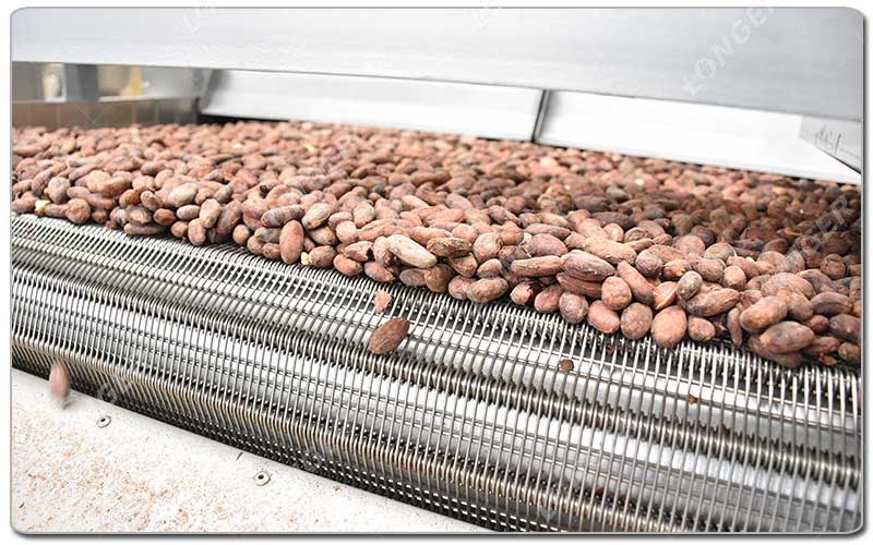 Cara Memulai Bisnis Pengolahan Kakao.jpg