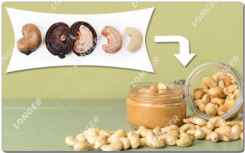 Seberapa Menguntungkan Pengolahan Jambu Mete.jpg