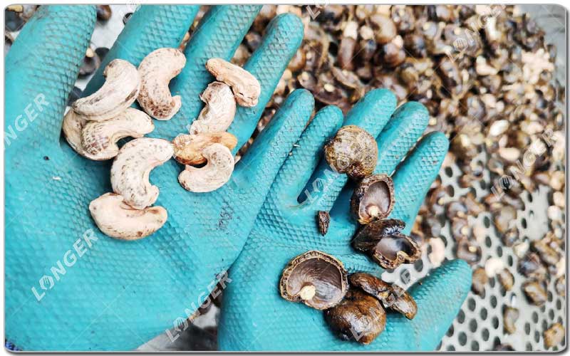 Nilai Melalui Pengolahan Jambu Mete.jpg