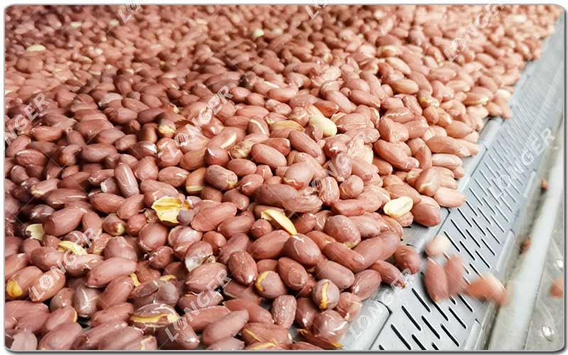 Tujuan Memanggang Kacang.jpg