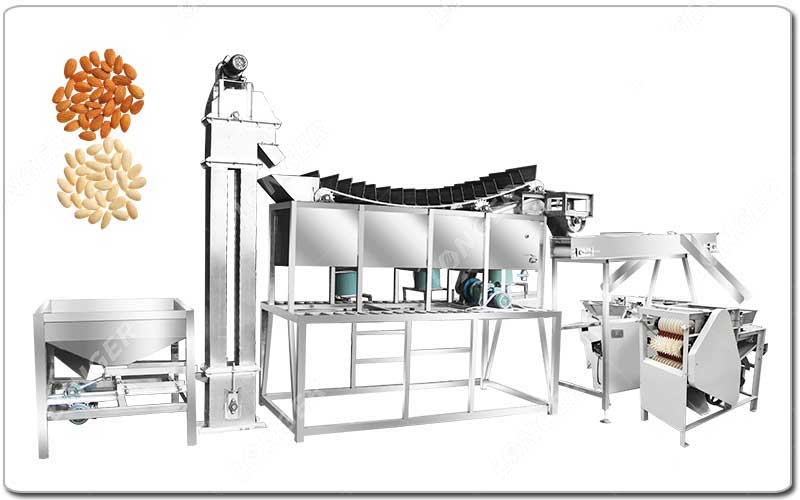 Garis Pengupasan dan Pengupasan Almond.jpg