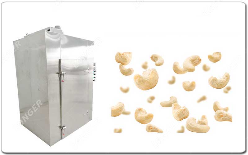 Pengoperasian Mesin Pengering Jambu Mete Dijual.jpg