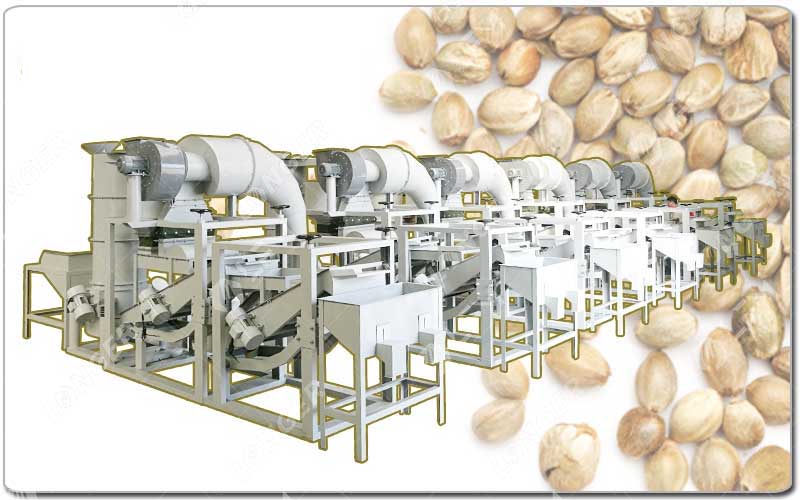 Pemisah dan Penyortir Benih Ganja.jpg