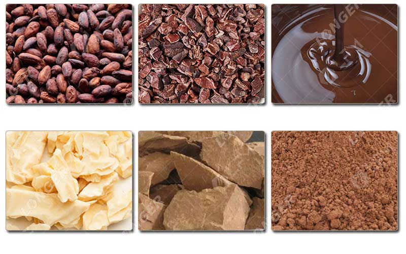 Berbagai Jenis Kakao.jpg