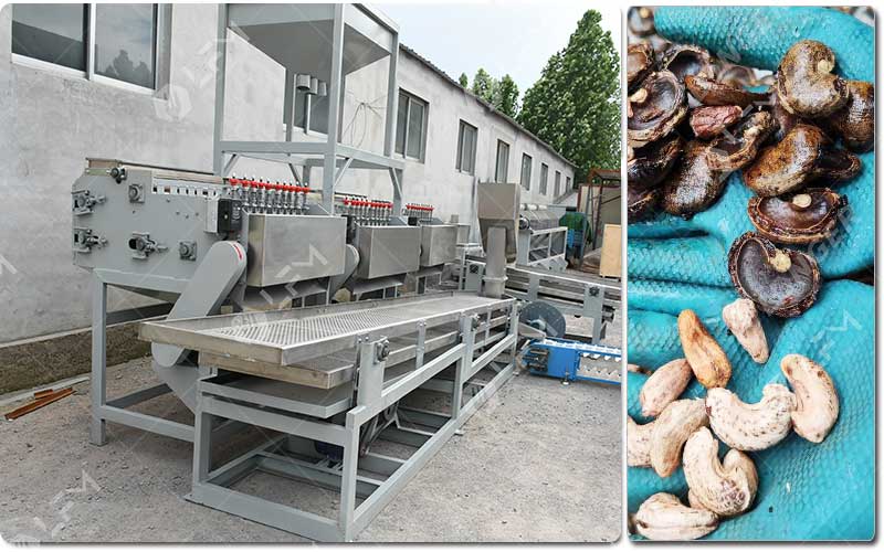 Mesin Pengolahan Kacang Mete.jpg