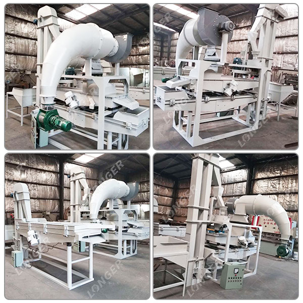 Struktur Pengupasan Kacang Pinus.jpg