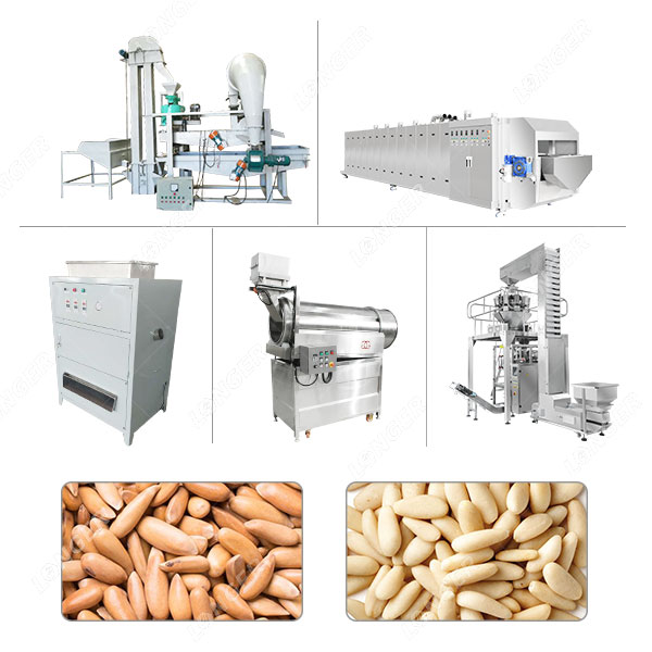 Mesin Pengolah Pemanggang Kacang Pinus Otomatis