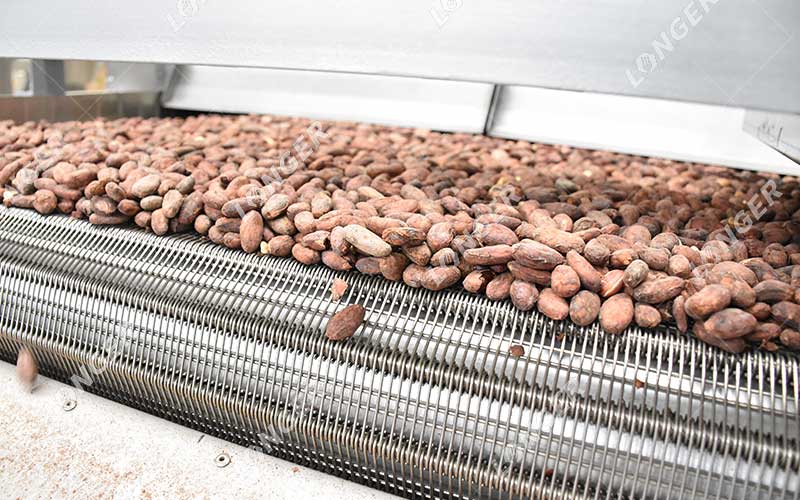 Bagaimana Cara Membuat Bisnis Pengolahan Kakao? 